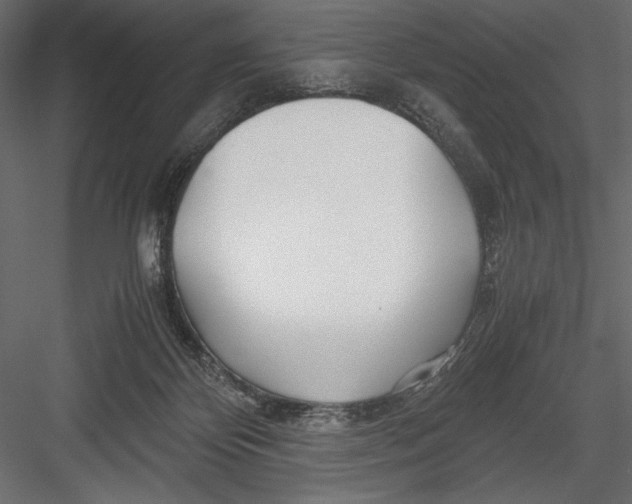 X0000082950124200702222324