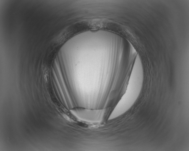 X0000082950125200702222323