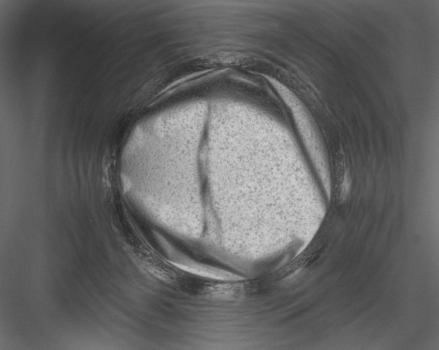 X0000082950126200702222323