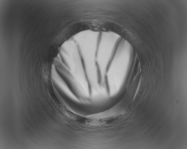 X0000082950129200702222323