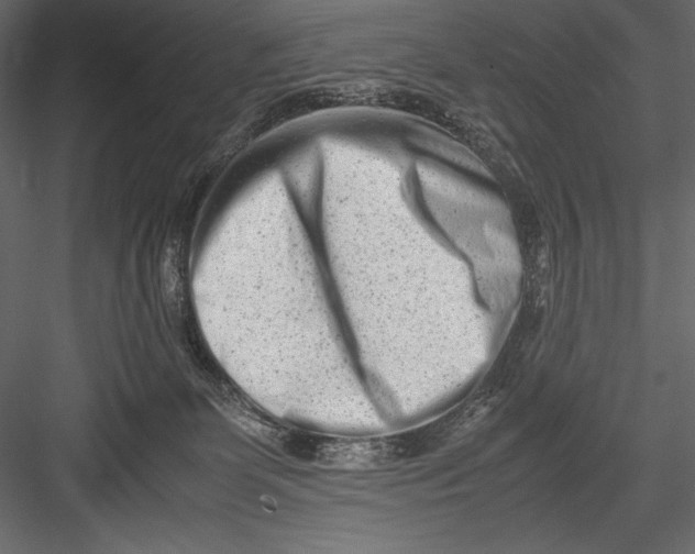 X0000082950131200702222323