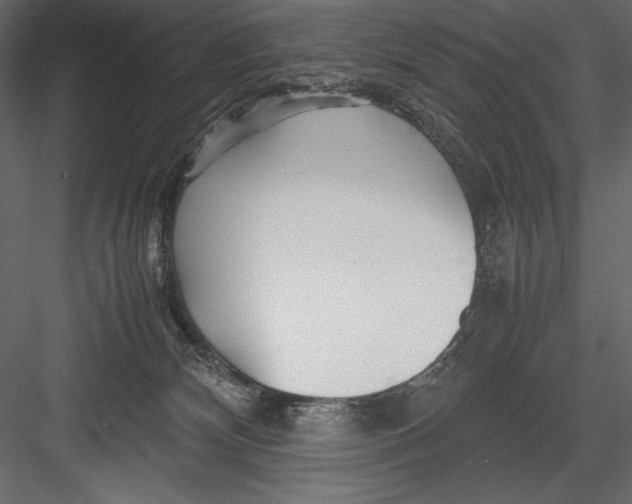 X0000082950132200702222323