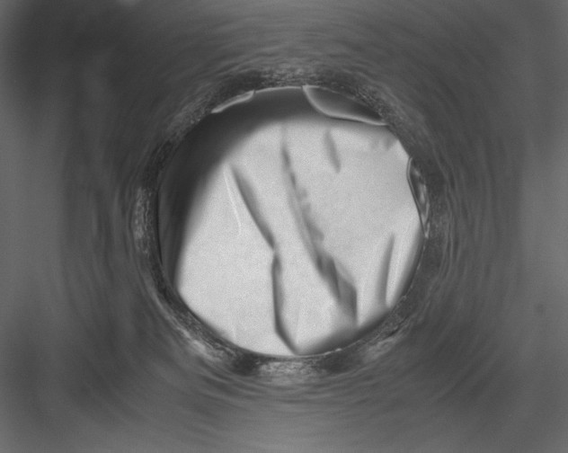 X0000082950133200702222323