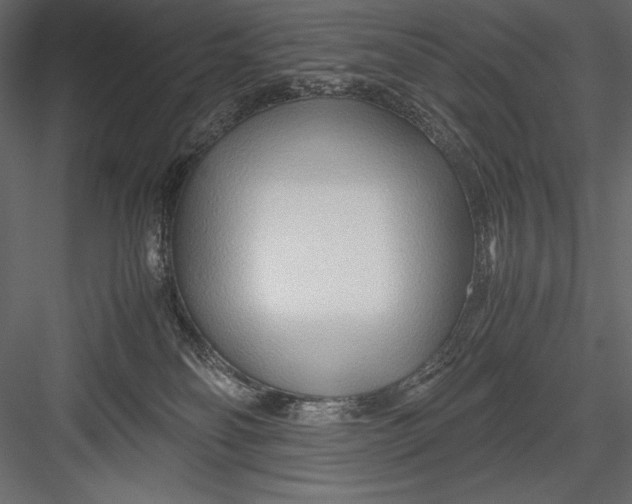 X0000082950134200702222323