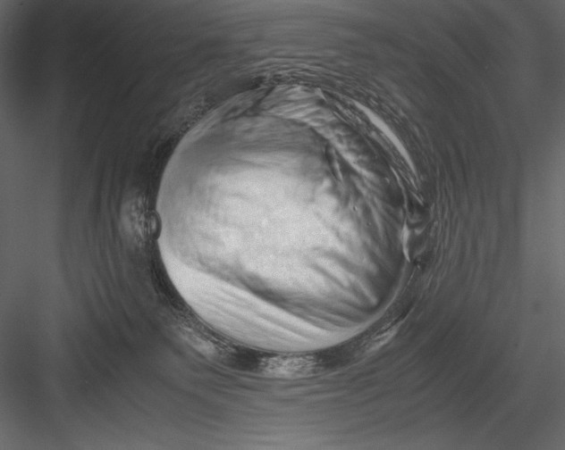 X0000082950135200702222323