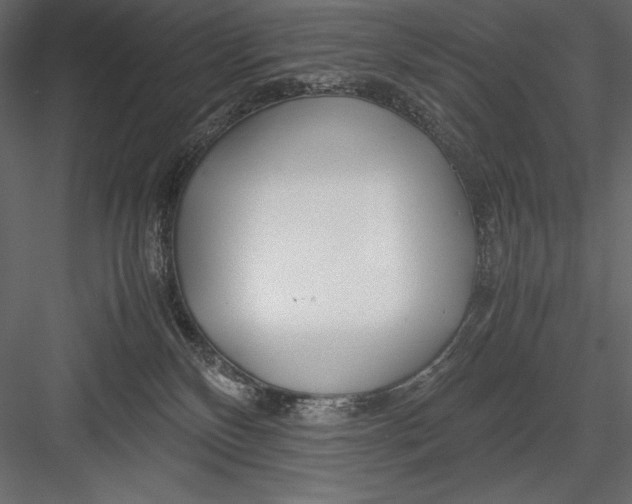 X0000082950136200702222323