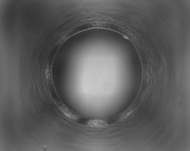 X0000082950137200702222323