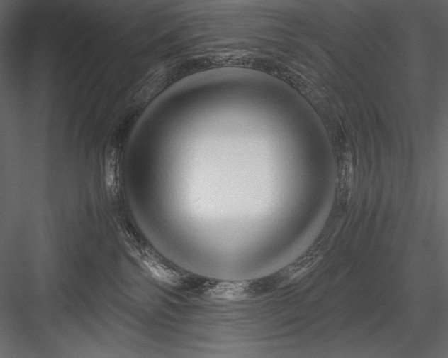 X0000082950138200702222323