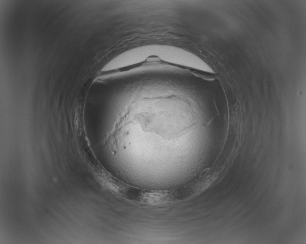 X0000082950139200702222323