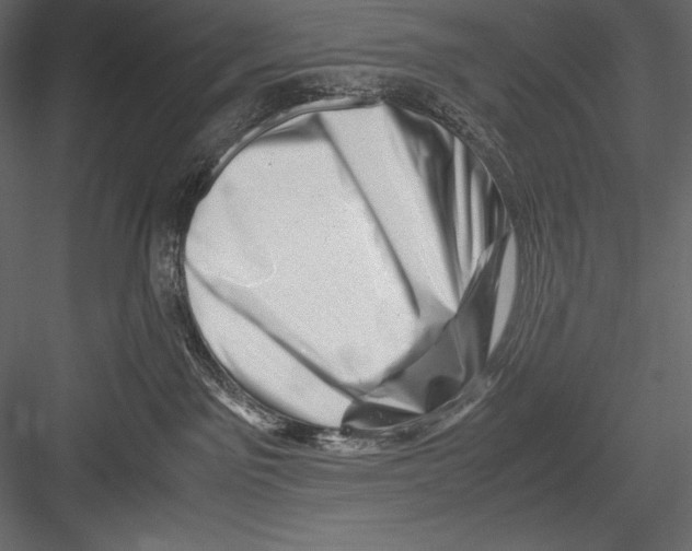 X0000082950141200702222323