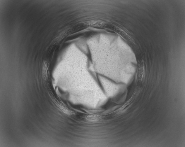 X0000082950142200702222323