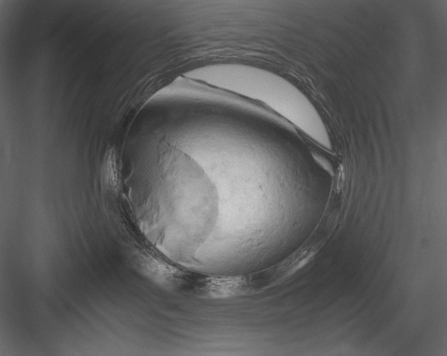 X0000082950143200702222323