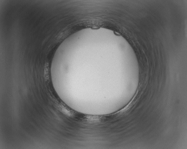 X0000082950144200702222323