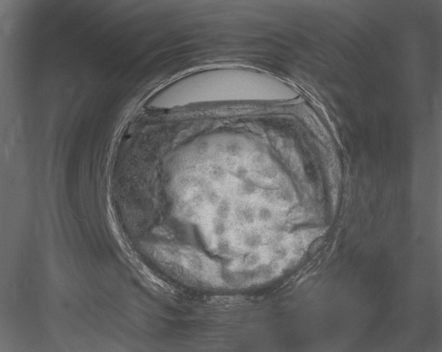 X0000082950145200702222322