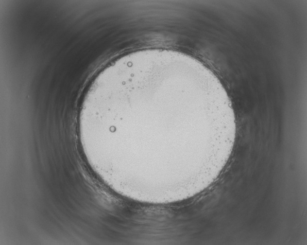 X0000082950146200702222322