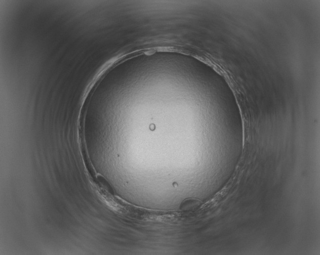 X0000082950147200702222322