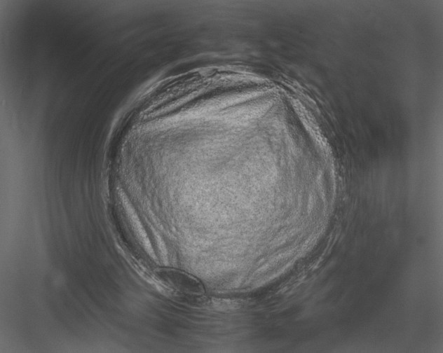 X0000082950149200702222322