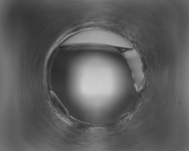 X0000082950150200702222322