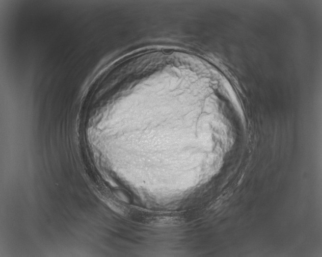 X0000082950151200702222322