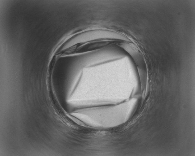 X0000082950152200702222322