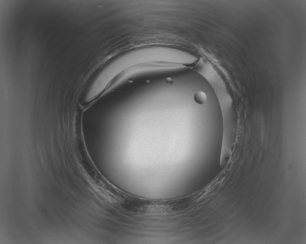 X0000082950154200702222322