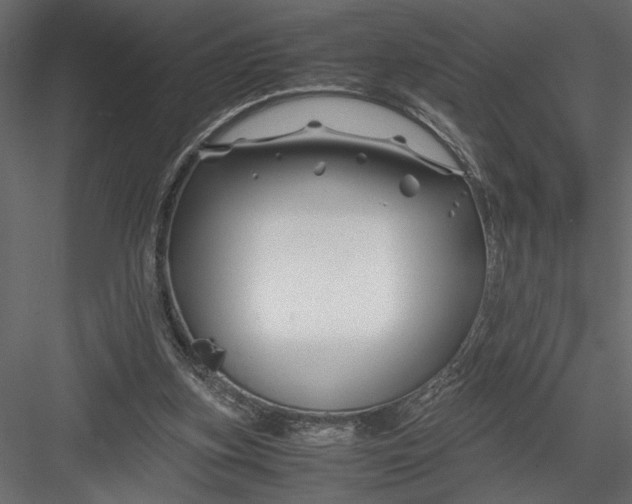 X0000082950155200702222323