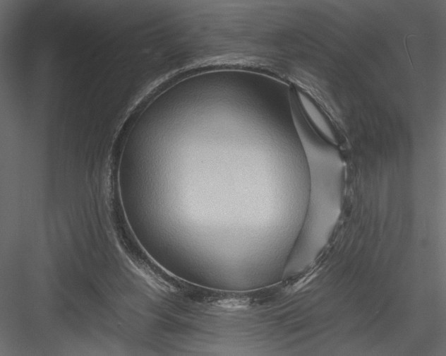 X0000082950156200702222323