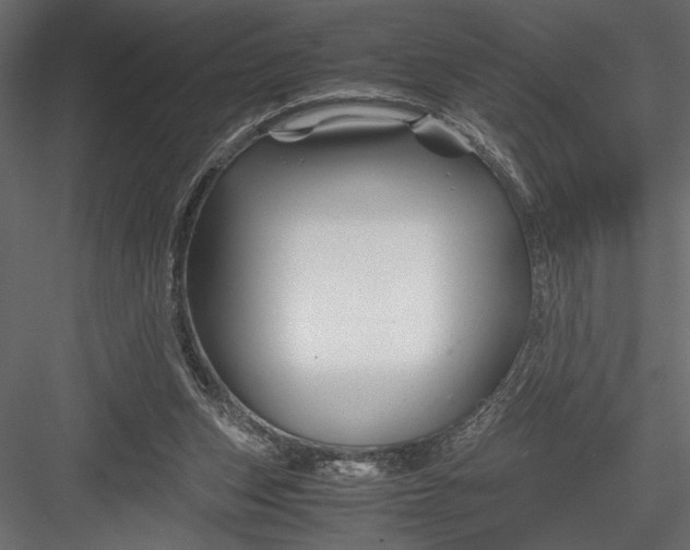 X0000082950159200702222323