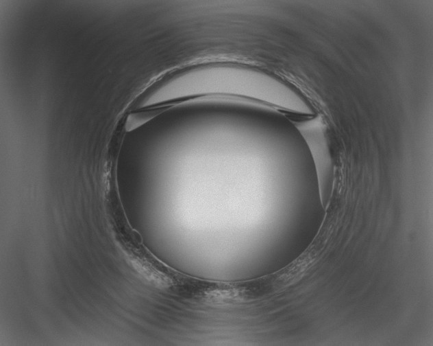 X0000082950160200702222323