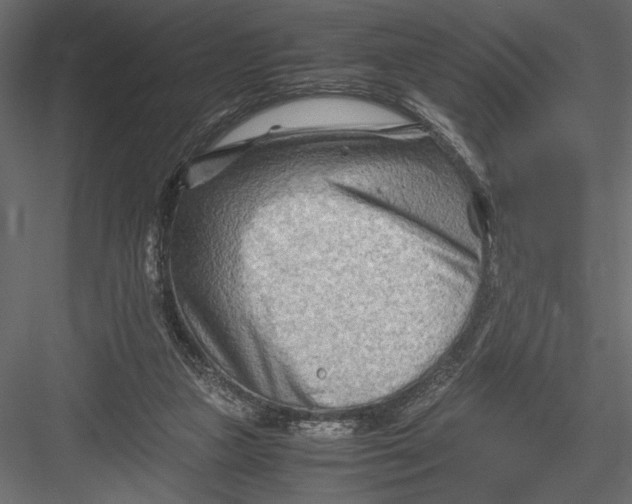 X0000082950161200702222323