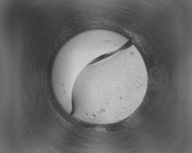 X0000082950162200702222323