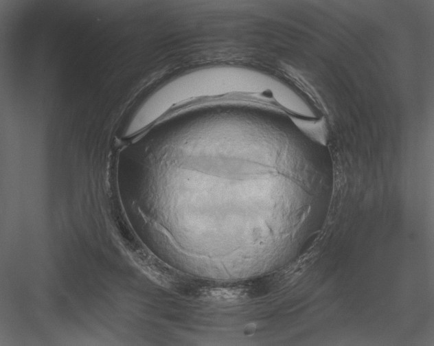 X0000082950163200702222323