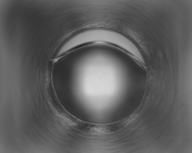 X0000082950164200702222323