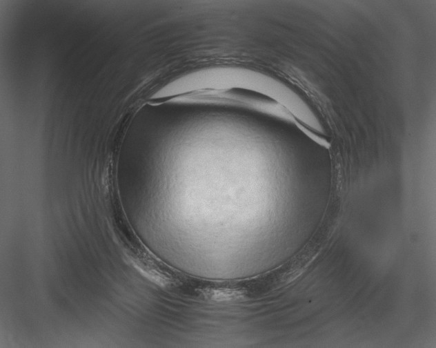 X0000082950165200702222323