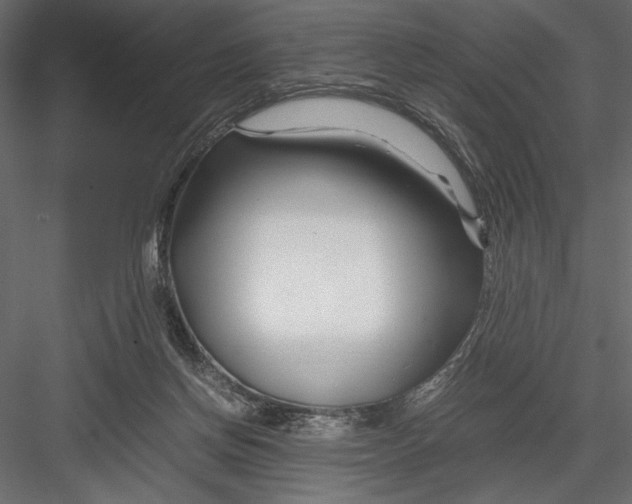 X0000082950166200702222323