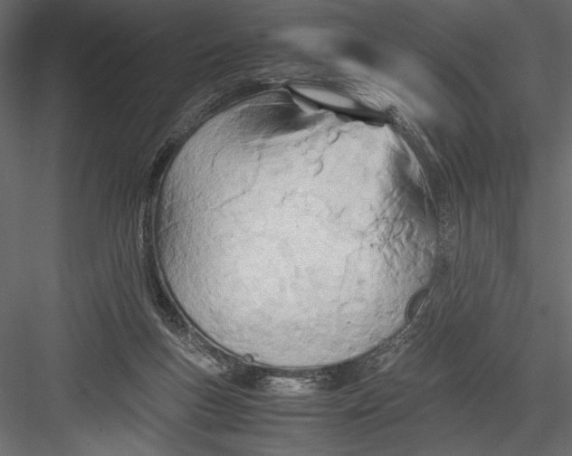 X0000082950167200702222323