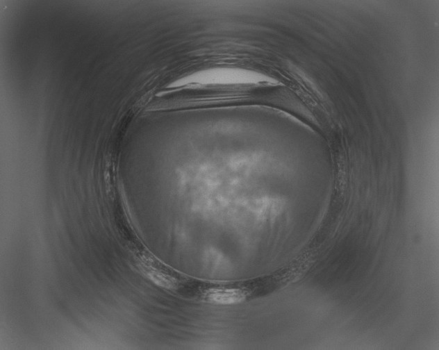 X0000082950169200702222323