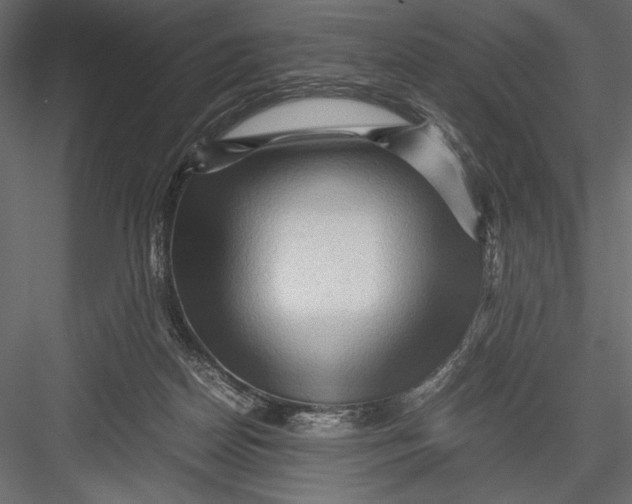 X0000082950170200702222323