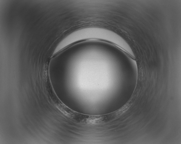 X0000082950172200702222323