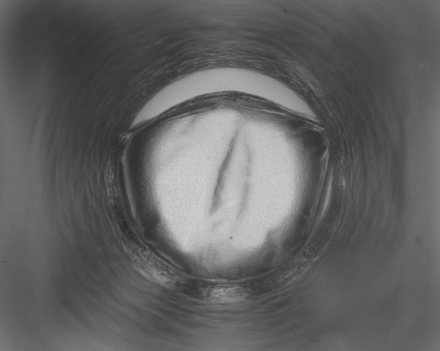 X0000082950173200702222323