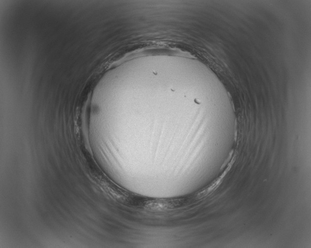 X0000082950174200702222323