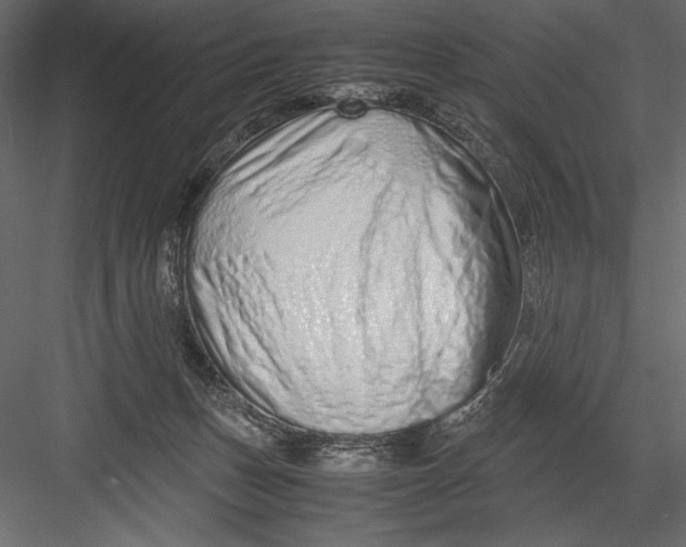 X0000082950175200702222323