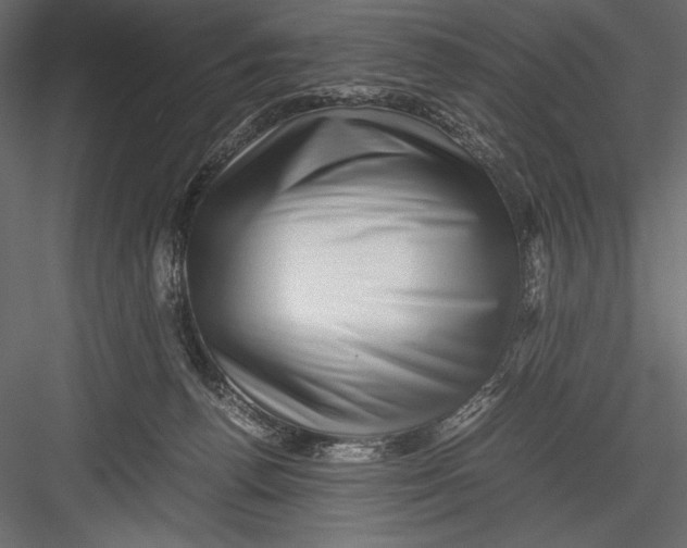 X0000082950176200702222323