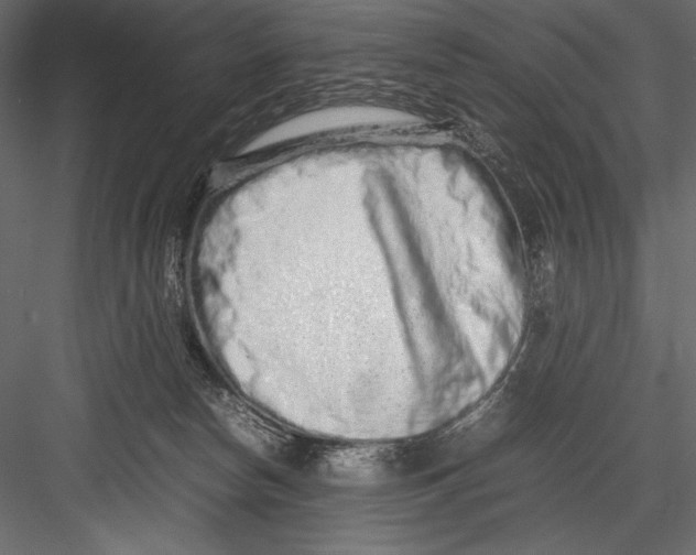 X0000082950178200702222323