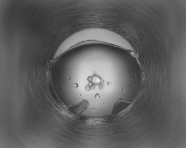 X0000082950179200702222323