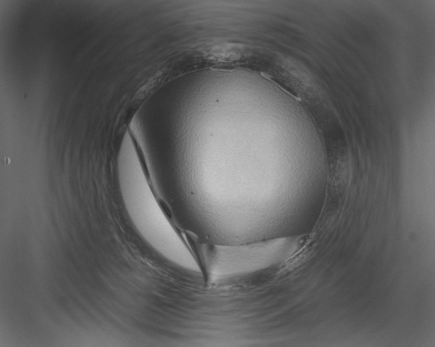 X0000082950180200702222323