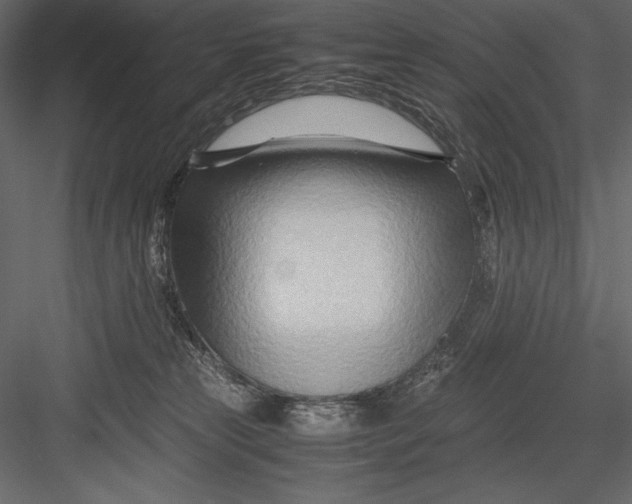 X0000082950181200702222323