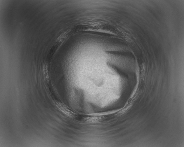 X0000082950182200702222323