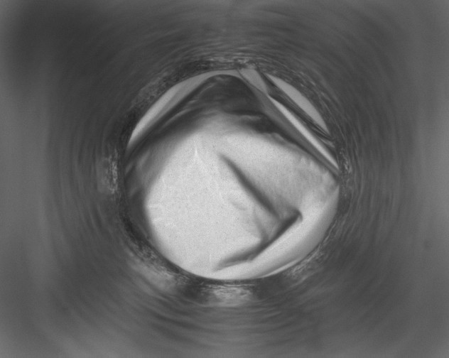 X0000082950183200702222323