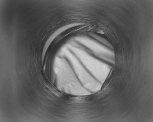 X0000082950184200702222323